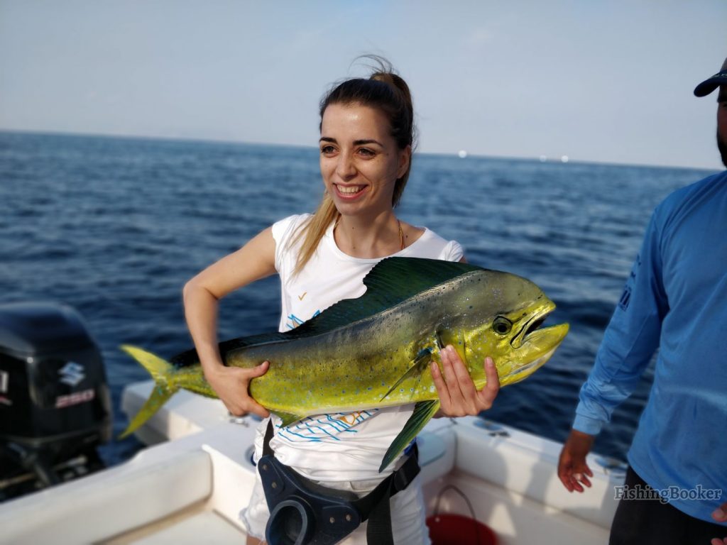 Mahi Mahi caught in Fujairah